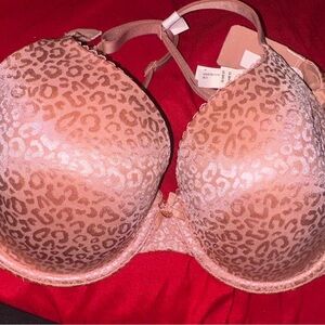 Leopard Print Push-Up Bra size 36C BRAND  NEW